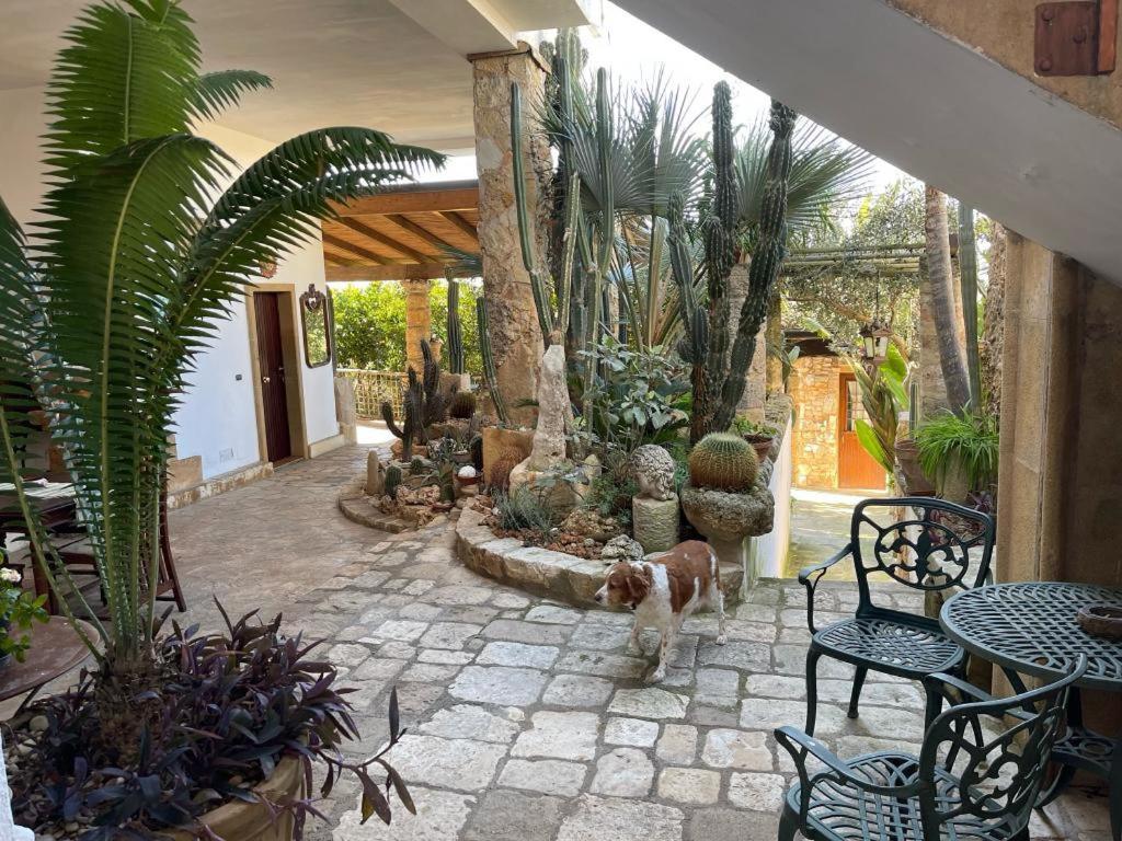 Felline In Bed&Breakfast Dimora Di Charme El Salento מראה חיצוני תמונה